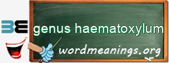 WordMeaning blackboard for genus haematoxylum